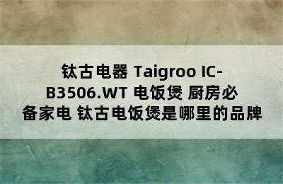 钛古电器 Taigroo IC-B3506.WT 电饭煲 厨房必备家电 钛古电饭煲是哪里的品牌